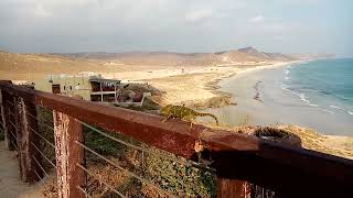 Strange  Animal in Mughsail,Sea beach,Salalah.