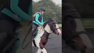 Canter transition