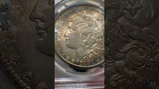 1881 S MS65 PQ! #numismatics #history #shorts #silver #short #shortvideo #morgandollarmondays