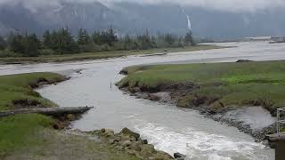 Squamish Estuary during high river flows and low tide at Culvert #4