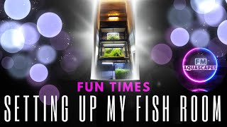 How to setup a fish rack for your aquariums | Setting up my fish room | How to move tanks safely!