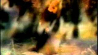 loreena mckennitt - the bonny swans.wmv