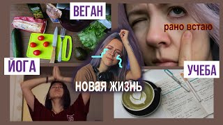 Меняю жизнь за месяц | веган, личный дневник, рано встаю, йога