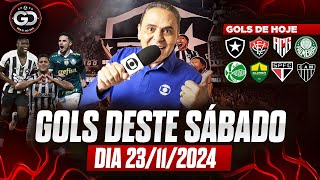 ⚽️ TODOS OS GOLS DESTE SÁBADO 23/11/2024 GOLS DE HOJE, GOLS DO DIA, GOLS DO BRASILEIRÃO (COMPLETO)