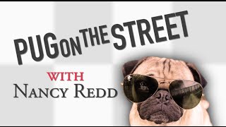 Pug On The Street With Nancy Redd