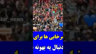 سرخابی ها برای یک کار دنبال بهونه ان