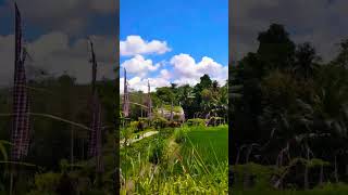 Taman Beji Griya #waterfall #rice #field #village #healing #bali #travel #ritual #nature #indonesia