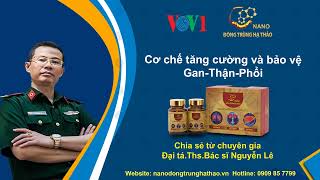 Cơ chế tăng cường và bảo vệ Gan-Thận-Phổi của Nano Đông Trùng Hạ Thảo.