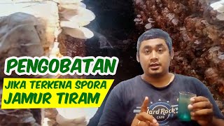 Pengobatan Bagi Yang Terlanjur Kena Spora Jamur Tiram #oemahjamurtangerang #jamurtiram #jamur