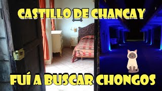 LO QUE DEBES SABER DEL CASTILLO DE CHANCAY - No pague Capricho