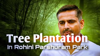 TREE PLANTATION IN ROHINI || #rakeshyadav #nature