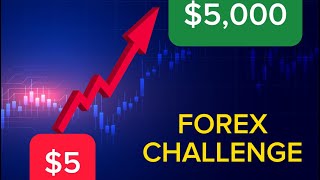 GROWING $5 - $5000 FOREX CHALLENGE Ep.2| CRAZY PROFITS MADE