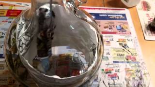 Paint a grapevine design on a glass jug part 8