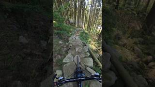 Enduro & rockgarden #mtb #enduro #bike #rockgarden #transitionbikes #sentinelv2 #insta360go3