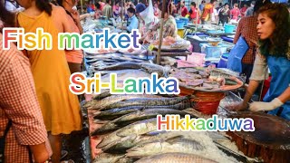 Рыбный рынок Шри-Ланки , как купить рыбу дешевле у местных . Sri Lanka fish market.