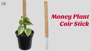 How to make coir stick for money plant at home