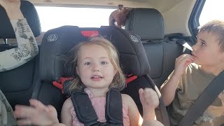 Ethan Almost Jumps Out of the Car When a Chicken Escapes!!!