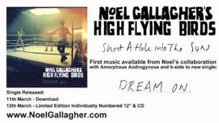 Noel Gallagher's High Flying Birds - Shoot A Hole Into The Sun (Official Audio)