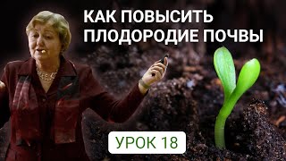 Как повысить плодородие почвы - лекция доктора биологических наук