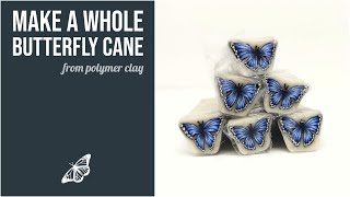 Make a Polymer Clay Butterfly Cane 🦋