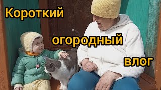 Запоздалое видео/Из города в деревню/Открываем дачный сезон 2022/Пробуем козунак/Первые посадки