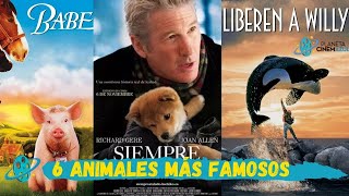 6 Animales Famosos del Cine