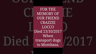 R. I. P (dog lover) Crazzie Locco