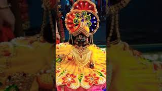 #nandgopallover #laddure  laddu gopal ji