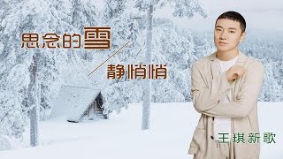 【伤感情歌】王琪新作《思念的雪静悄悄》凄美动听，催人泪下！