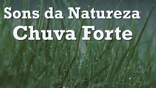 Chuva Forte - Barulho de Chuva - Sono profundo - Fim da Insônia #barulhodechuva #chuva #dormir