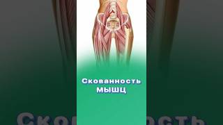 Как справиться с мышечной скованностью? #мышцы #центрздоровья #титовцентр