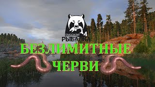 Russian fishing 4 Безлимитные черви в русской рыбалке это просто