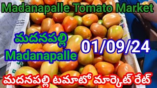 Madanapalle market tamatar rate today || పెరిగిన టమాటా ధర మదనపల్లి మార్కెట్లో