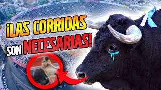 ¿A FAVOR DE LAS CORRIDAS DE TOROS?🔥¿SON NECESARIAS?