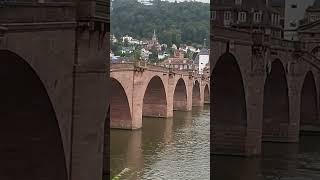 Heidelberg is a city in southwestern Germany, in the federal state of Baden-Württemberg. #tram