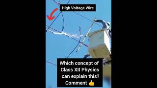 science facts #physics #shorts #highvoltage #class12 #electricalengineering #dangerous #electricity