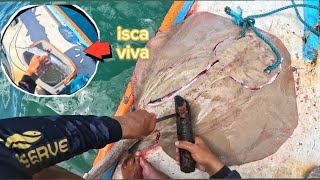 PESCANDO COM ISCAS VIVAS É FATAL PARA PEGAR PEIXES GRANDES !