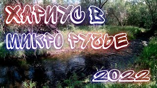 Микро ручей и верховая мушка 2022