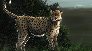 Cheetah painting time lapse in Photoshop