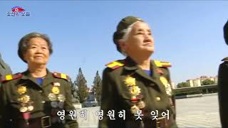 We do not forget those warriors' exploits — 로병들 그 위훈 영원히 못 잊어 — Subtitled