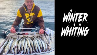 Port Phillip Bay Winter Whiting How We Got Our  Bag of KGW Tinganoster