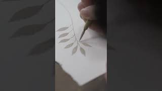 Simple Botanical Leaves in gray watercolor palette/ Kremer Pigment/ short