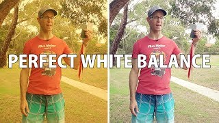 PERFECT WHITE BALANCE Your Video in 2 MINUTES