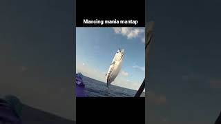 Mancing mania mantap