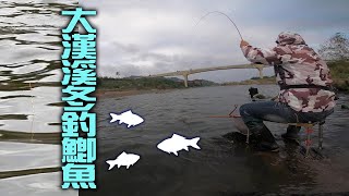 大漢溪冬釣鯽魚，短竿深場拉魚爽