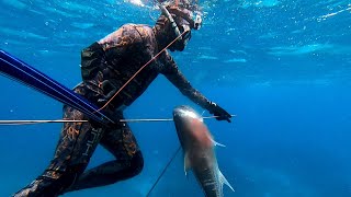 Mid-Sea Spot Extreme weather | Giant Trevally