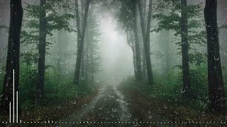 Usypiająca Muzyka - Padający deszcz - The rain storm relaxing music #12