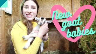 Friday Farm Vlog 110 She's got her hooves full