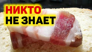 САЛО вся ПОЛЬЗА для мозга и нервных клеток САЛО от ИНСУЛЬТА - 1 кусок в день.