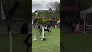 Karpatia Horse Show 2024